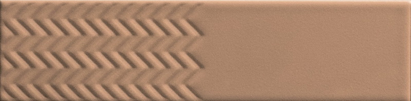 Biscuit Waves Terra