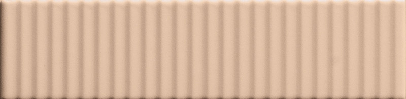 Biscuit Strip Powder