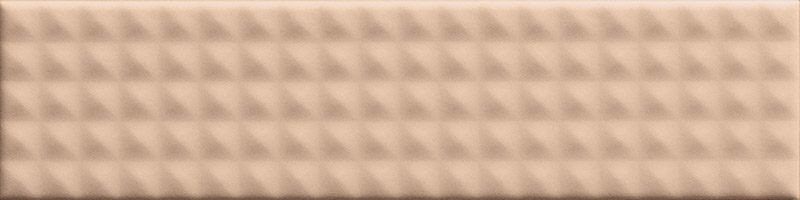 Biscuit Stud Powder