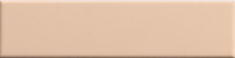 Biscuit Plain Powder