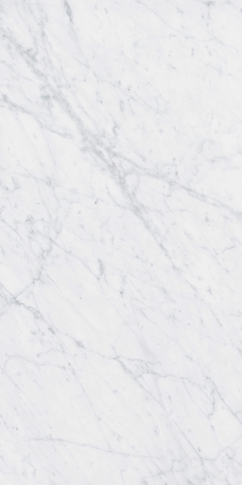 Italic 60x120 24”X48” Carrara