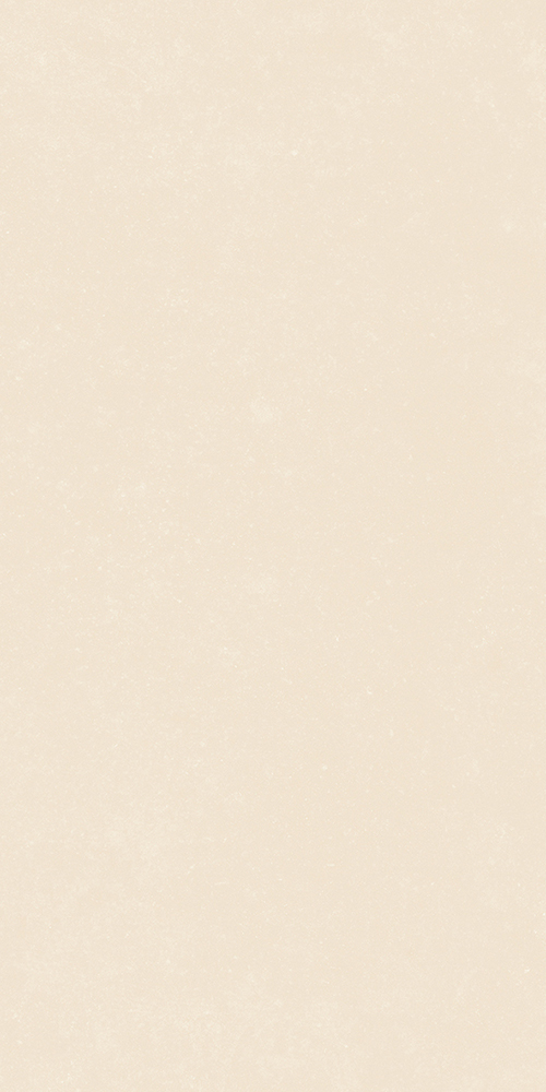 Nok 60x120 24”X48” Ivory