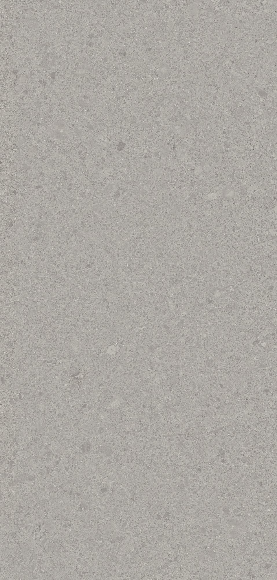 Otto Natural 60x120 24”X48” Grigio