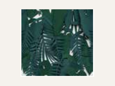Paper41 Pro Midori
