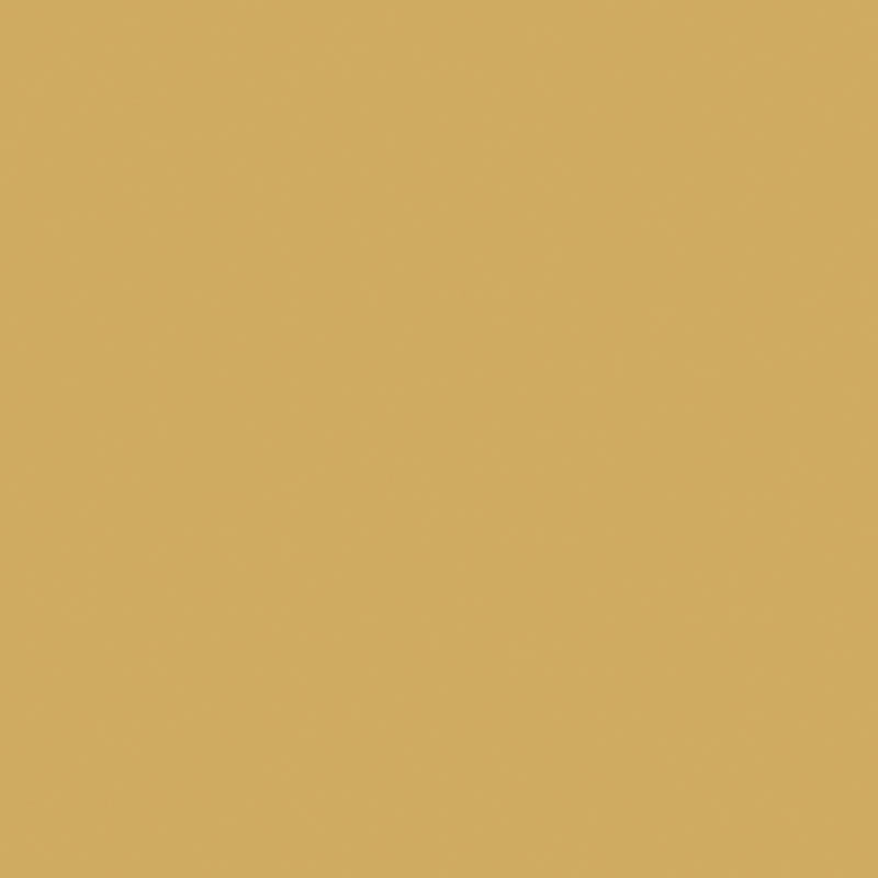 Pixel41 14 Curry
