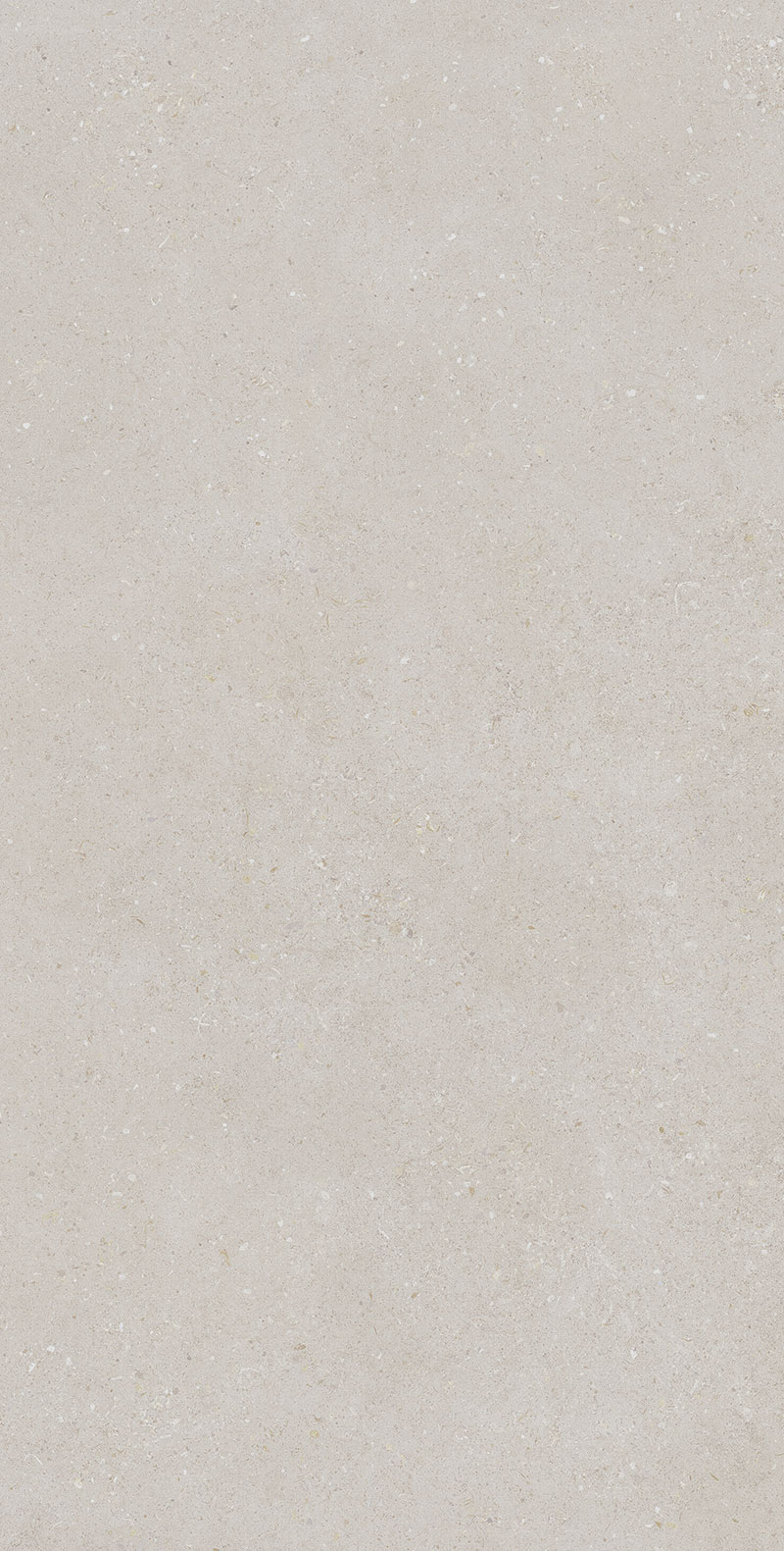 Superclassica SCB 60x120 24”X48” Natural