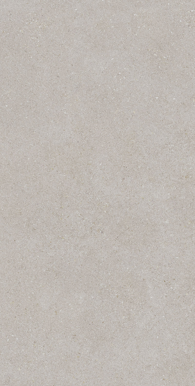 Superclassica SCB 60x120 24”X48” Hammered