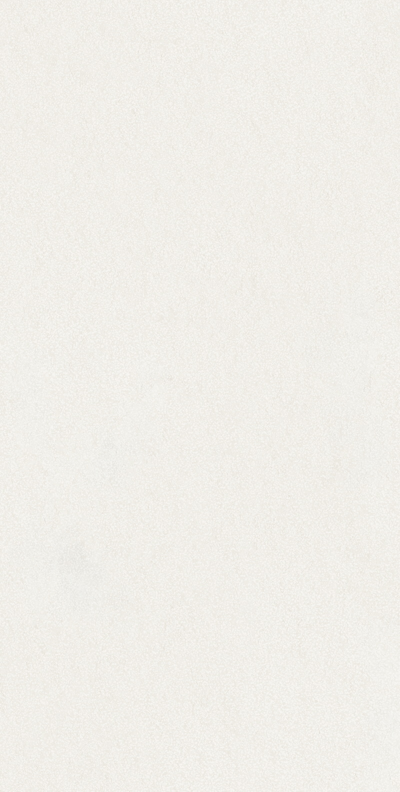 Superclassica SCW 60x120 24”X48” Hammered