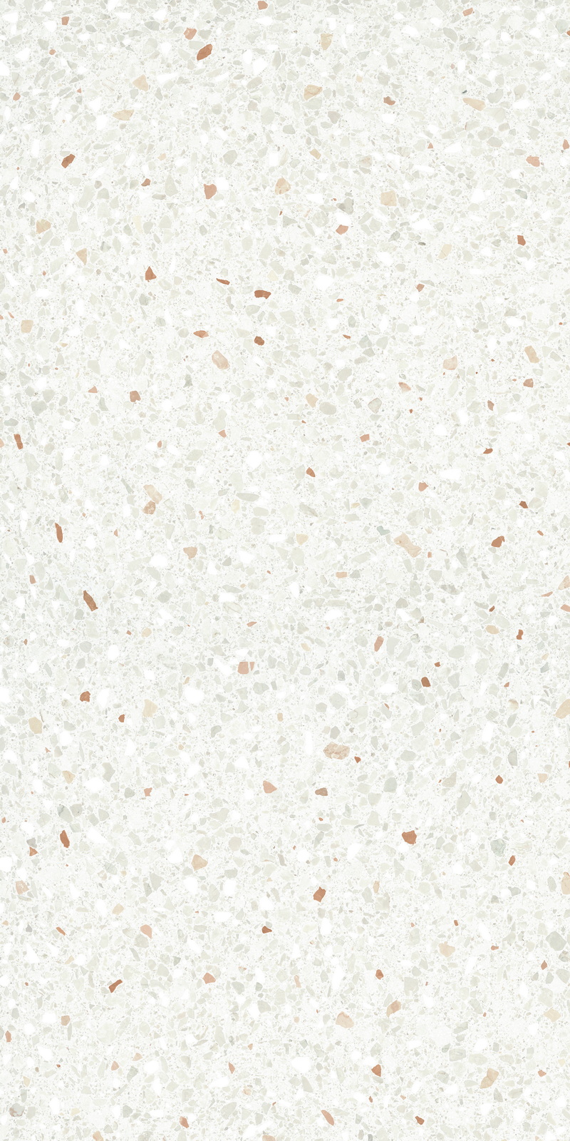 Superclassica SCW 60x120 24”X48” Happy