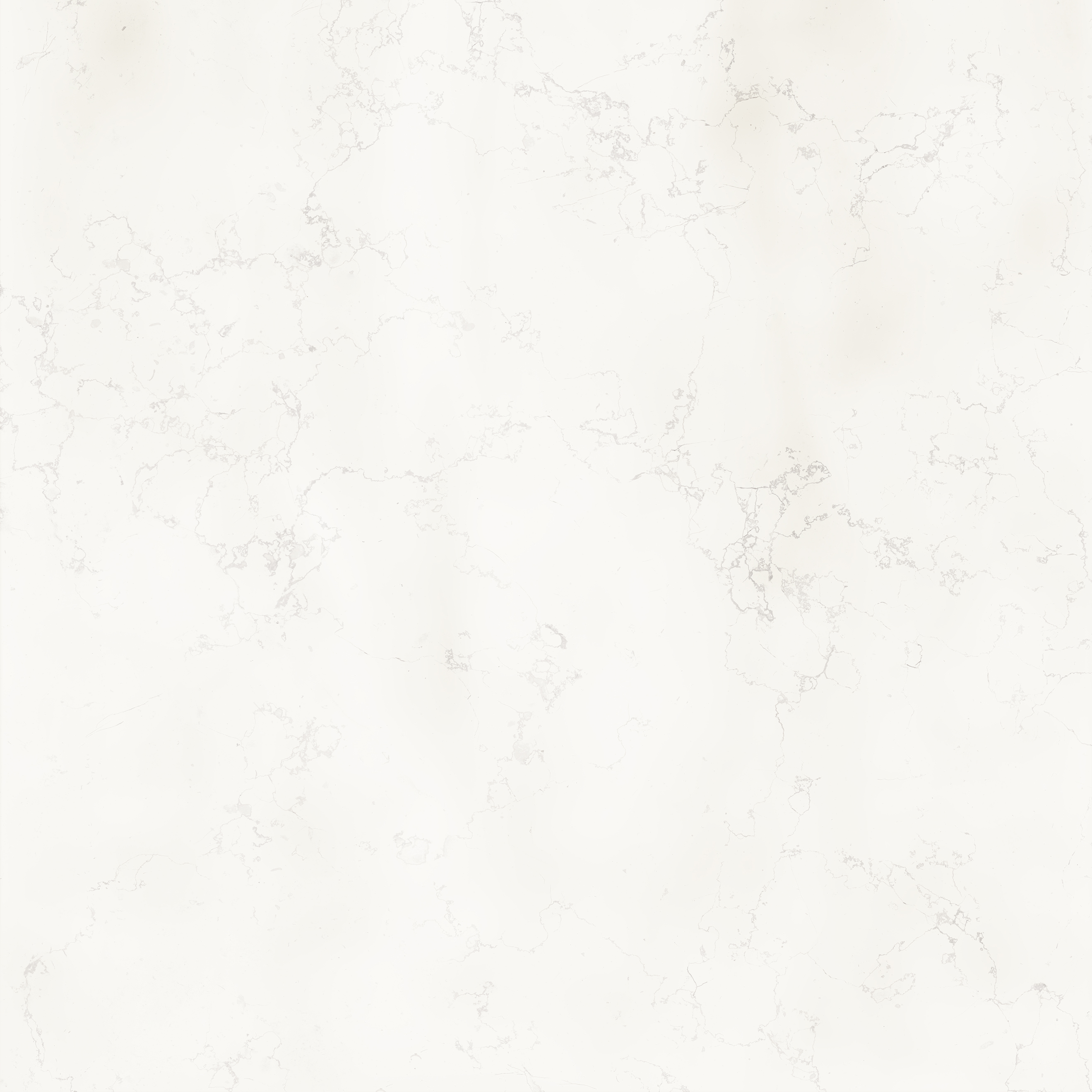 Superclassica SCW 60x60 24”X24” Honed