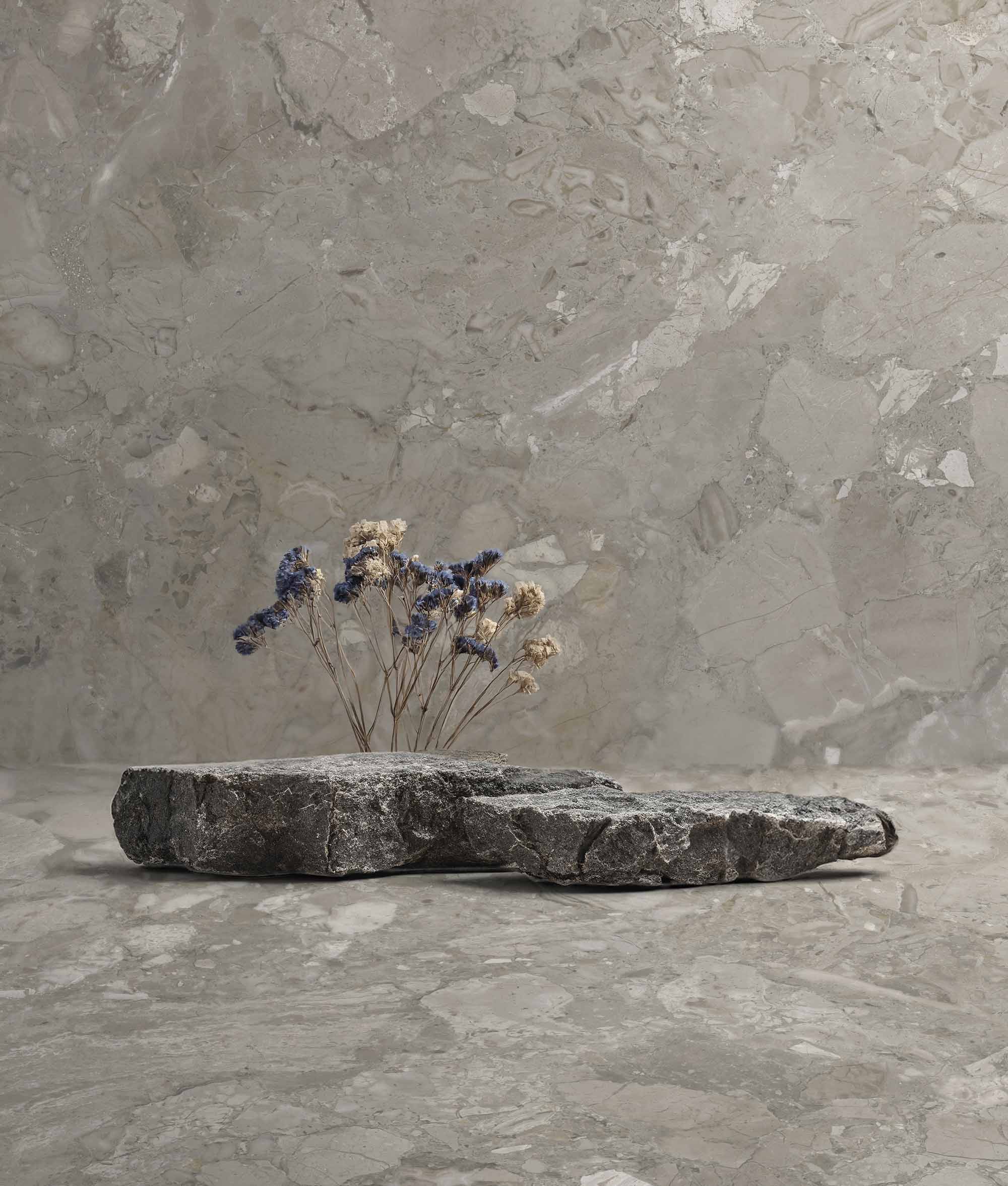 Ashen / интерьер