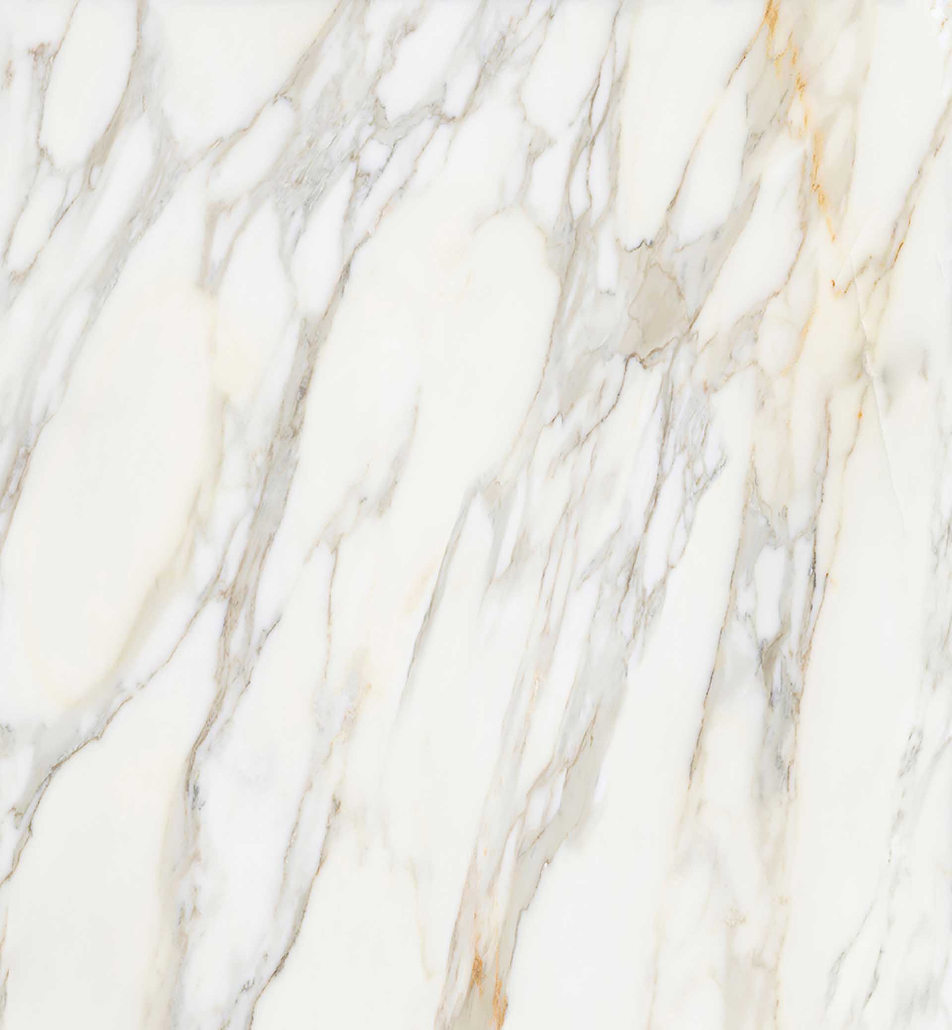 Borghini White Polished 120X120