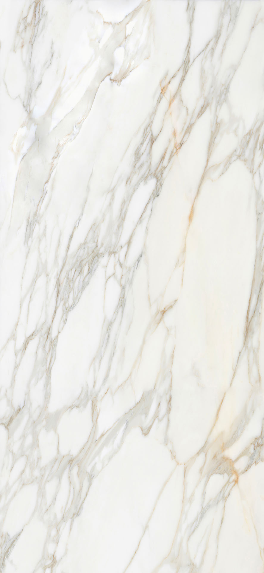 Borghini White Polished 120X260