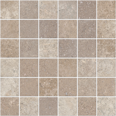 Focus Beige Nat Mos 5X5 30X30