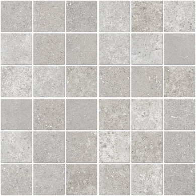 Focus Grey Nat Mos 5X5 30X30
