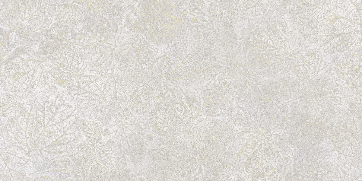 Fragmenta Grey Solid 2Cm 50X100
