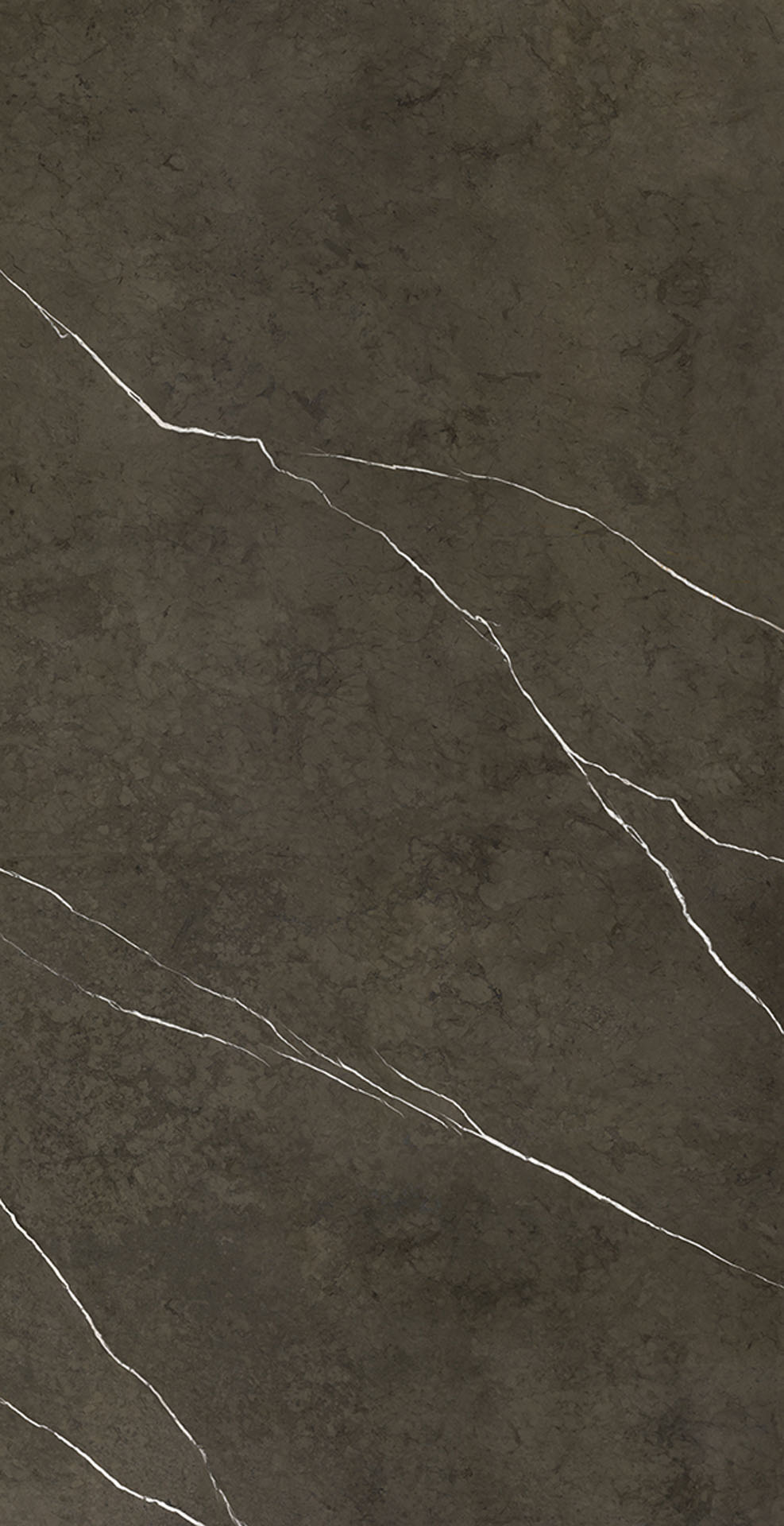 Pietra Grey Polished 162X324