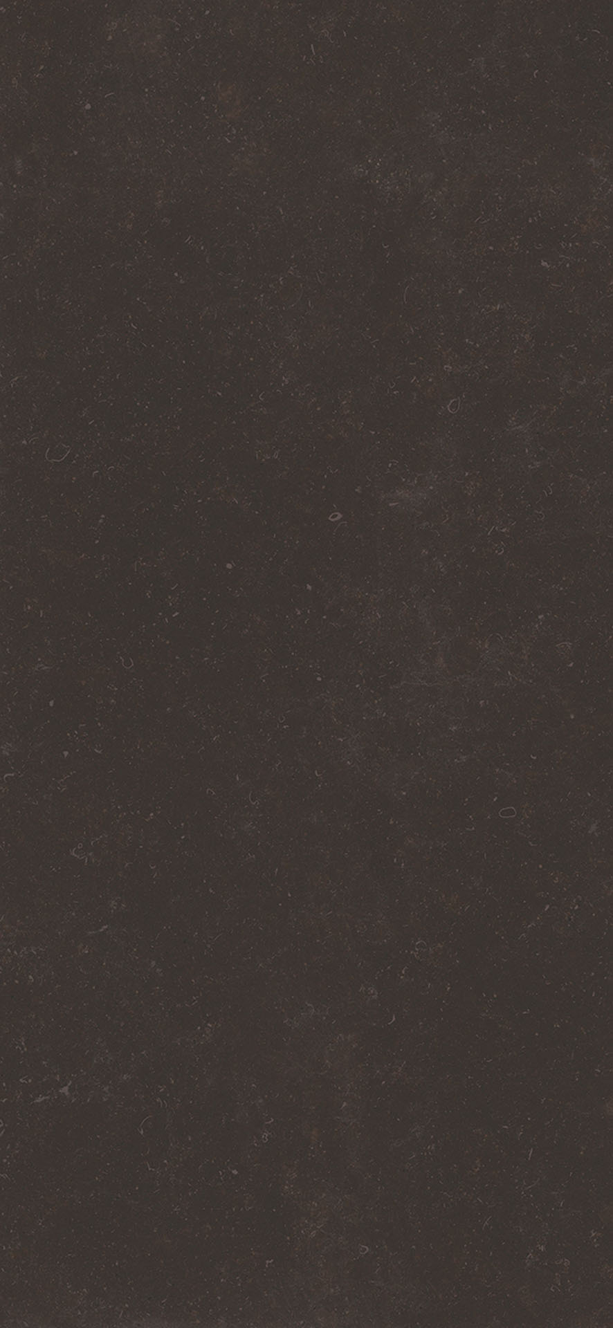 St.vincent Anthracite Polished 162X324