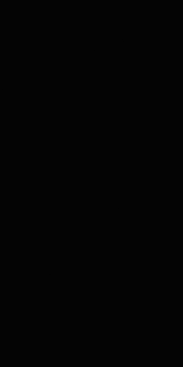 Super Black Natural 162X324
