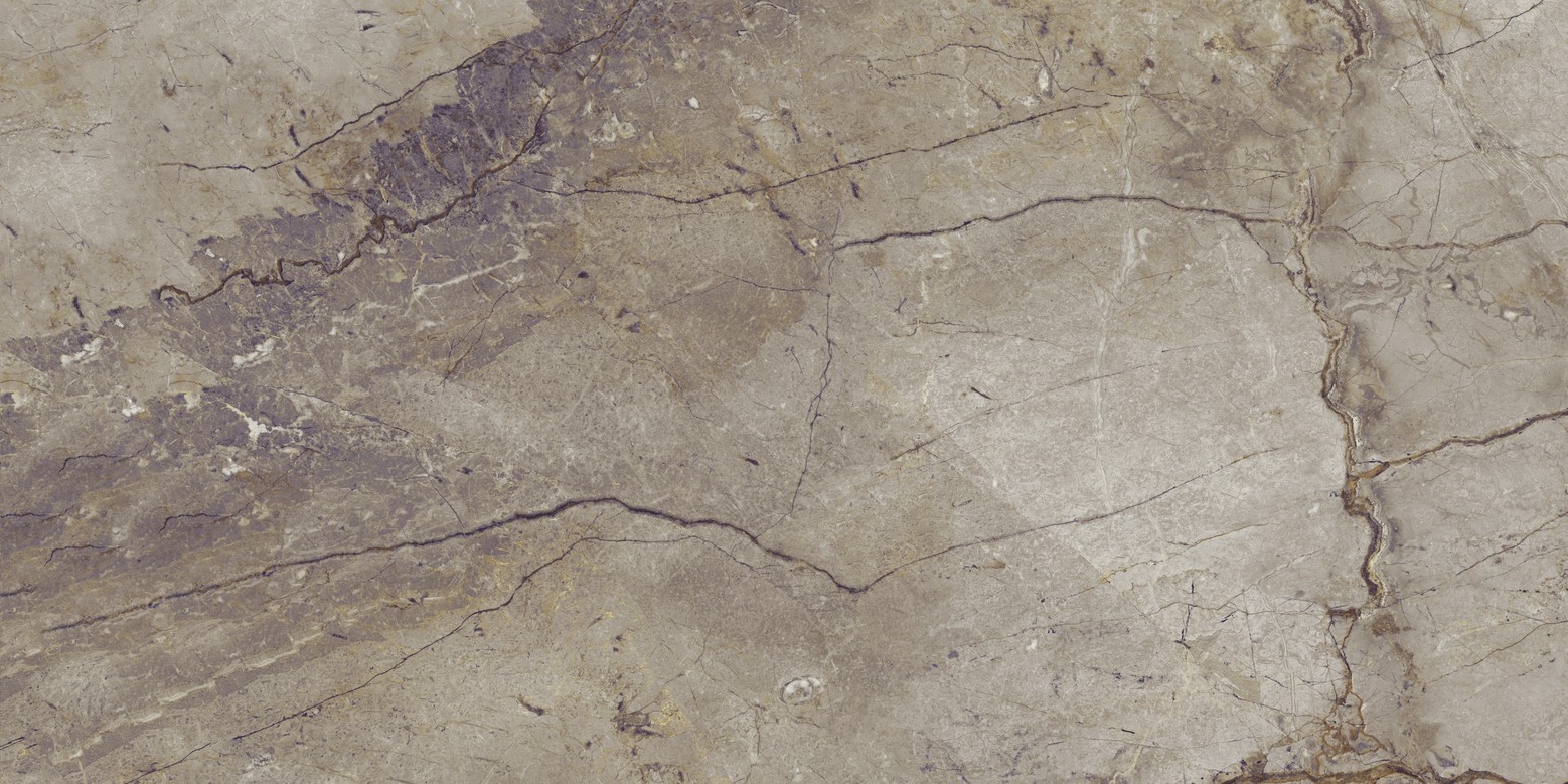 Wild Forest Grey Nat Mix 60X120