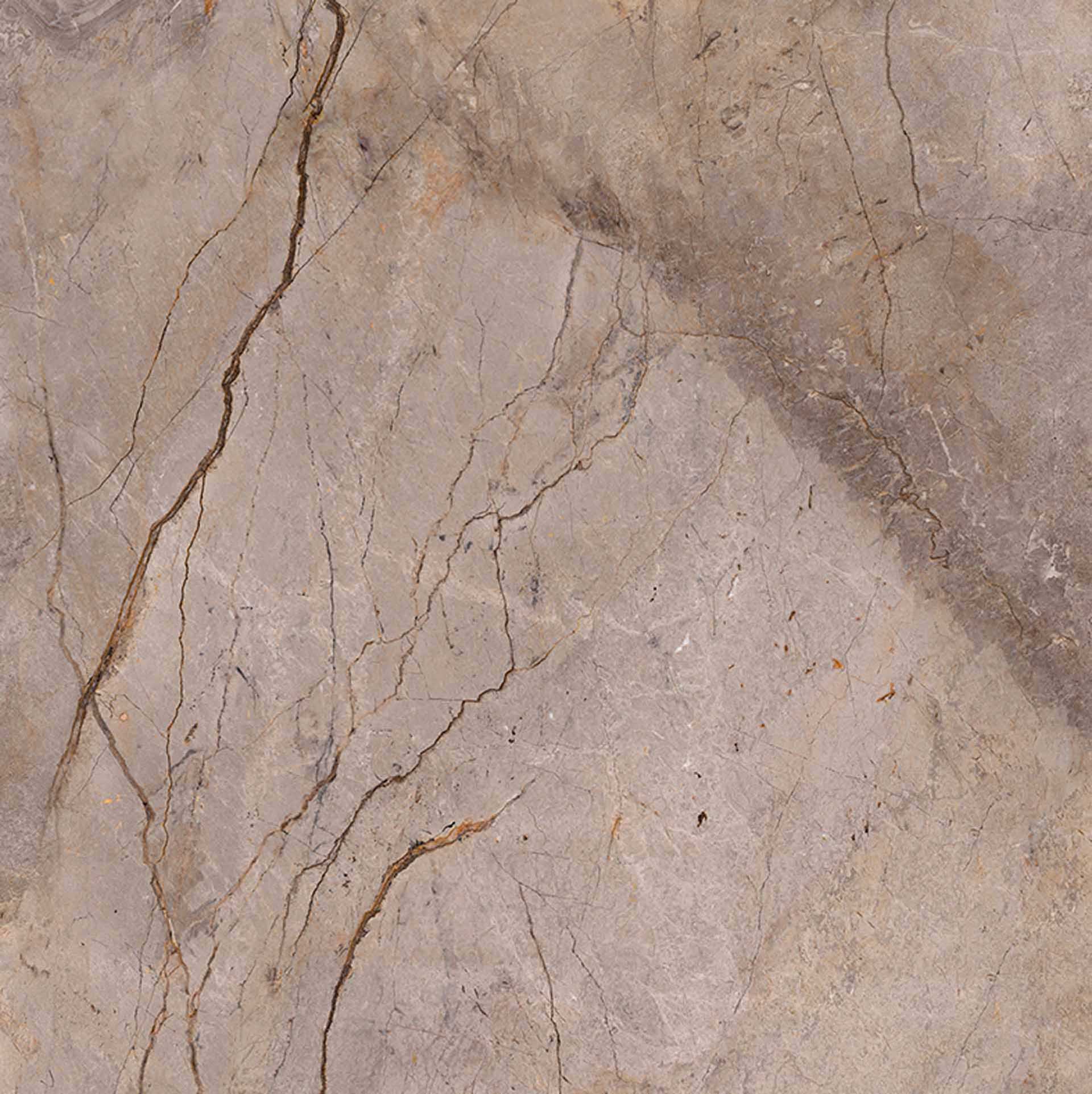 Wild Forest Grey Pol Mix 120X120