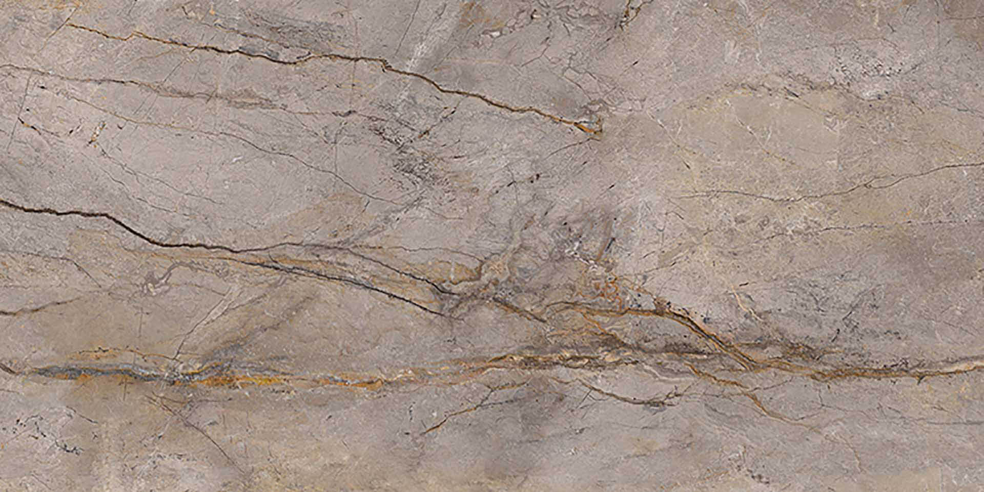 Wild Forest Grey Pulido 60X120