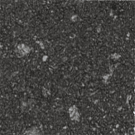 TOZZETTO CASALE GRAFITE 3,4X3,4