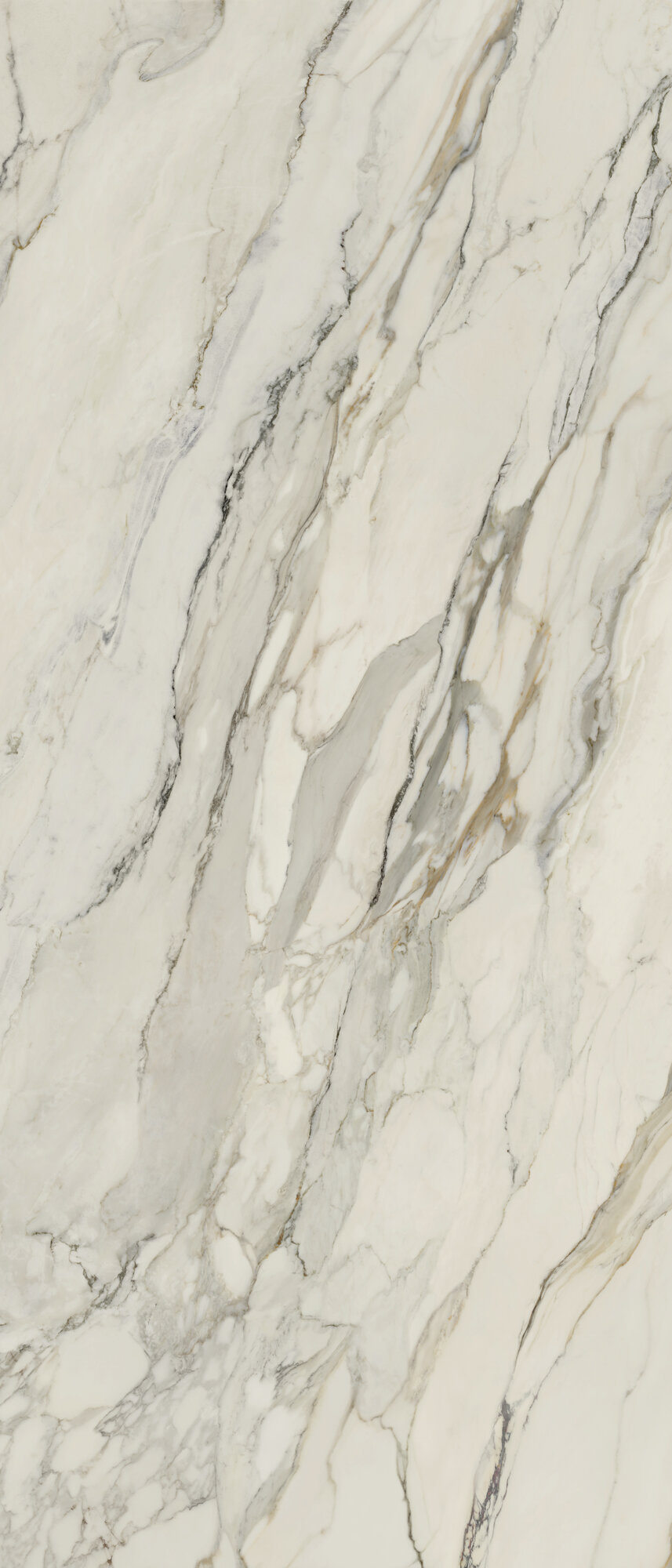 ARABESCATO CORCHIA POL RECT 120X278