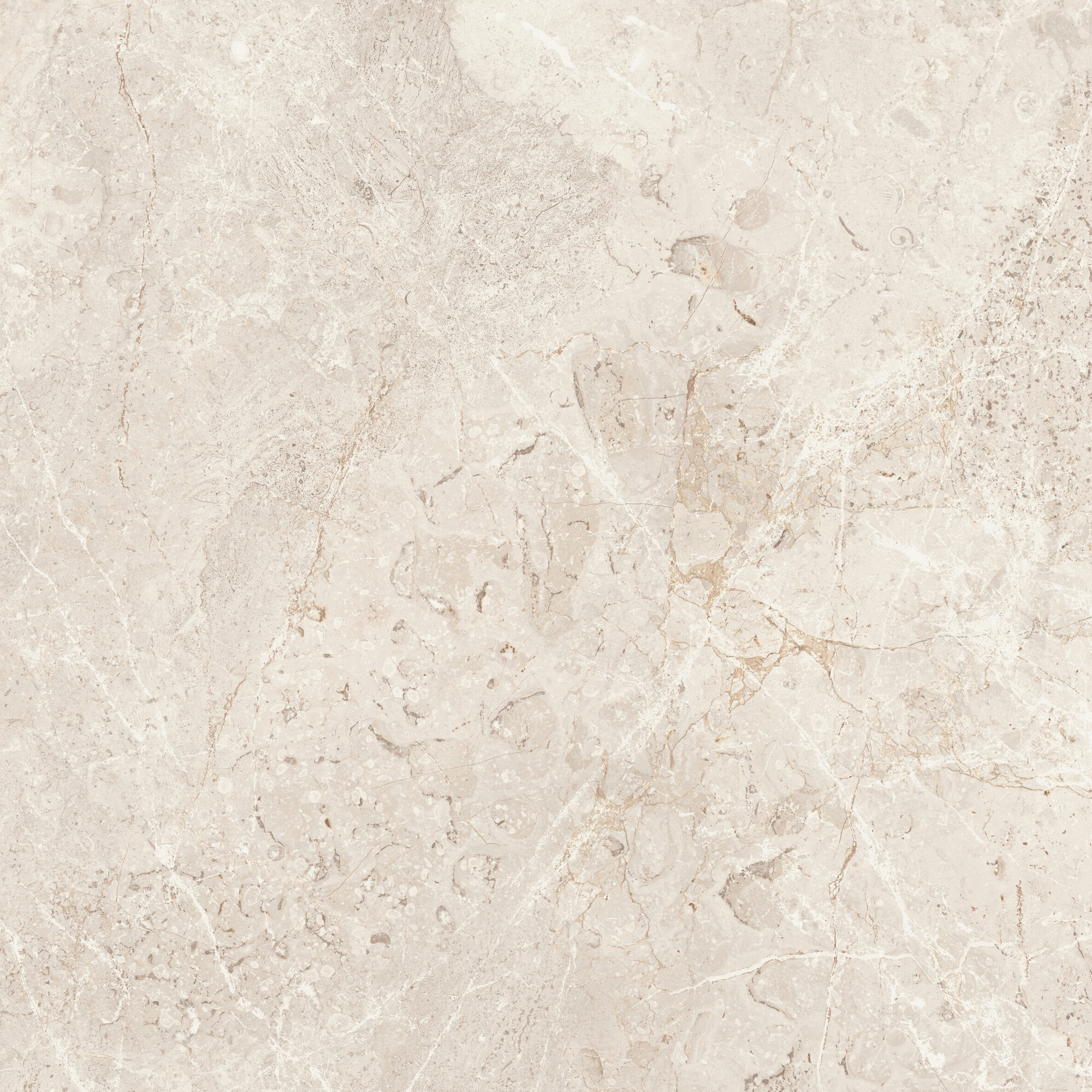 AUGUSTUS CREAM RECT 60X60