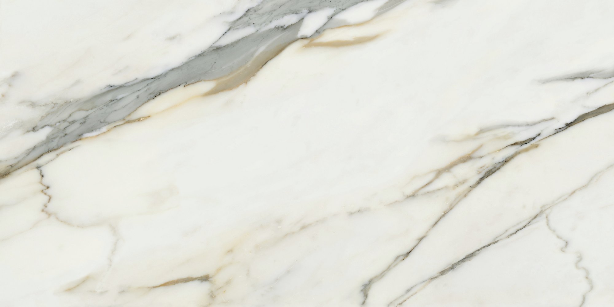 CALACATTA BORGHINI MATT RECT 60X120