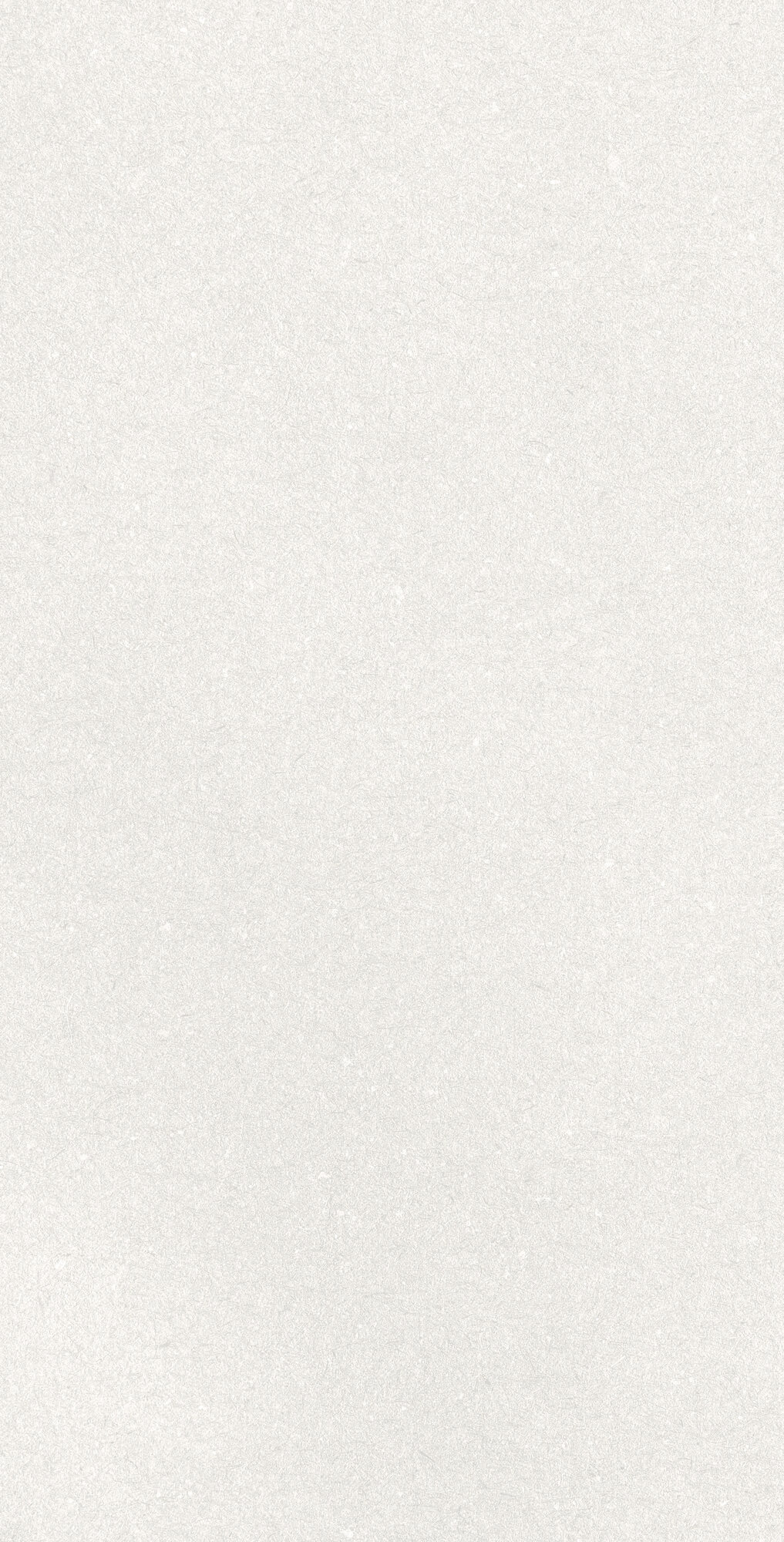 CAPRICE WHITE RECT 60X120