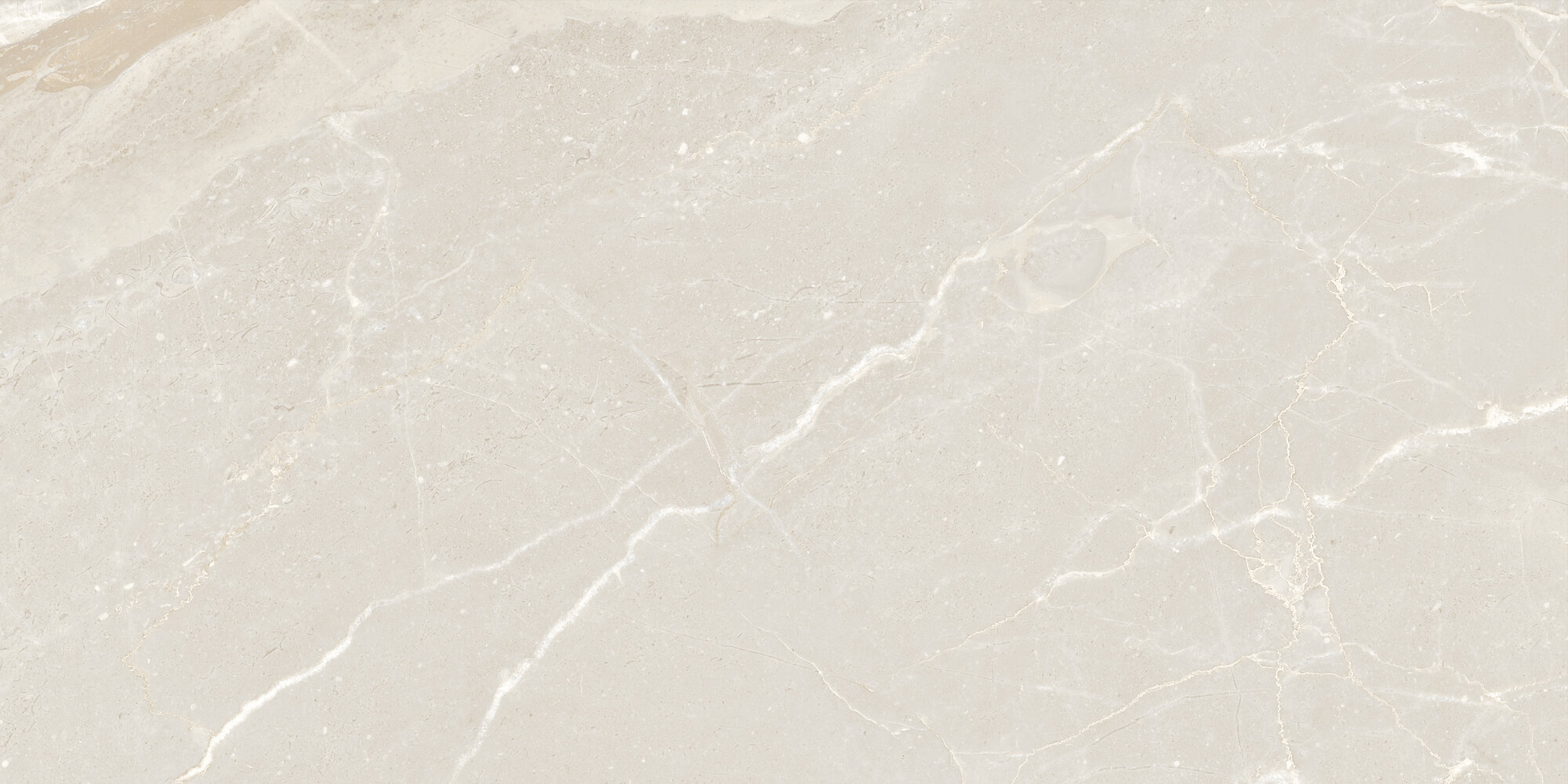 COLEMANITE STONE LIGHT RECT 60X120