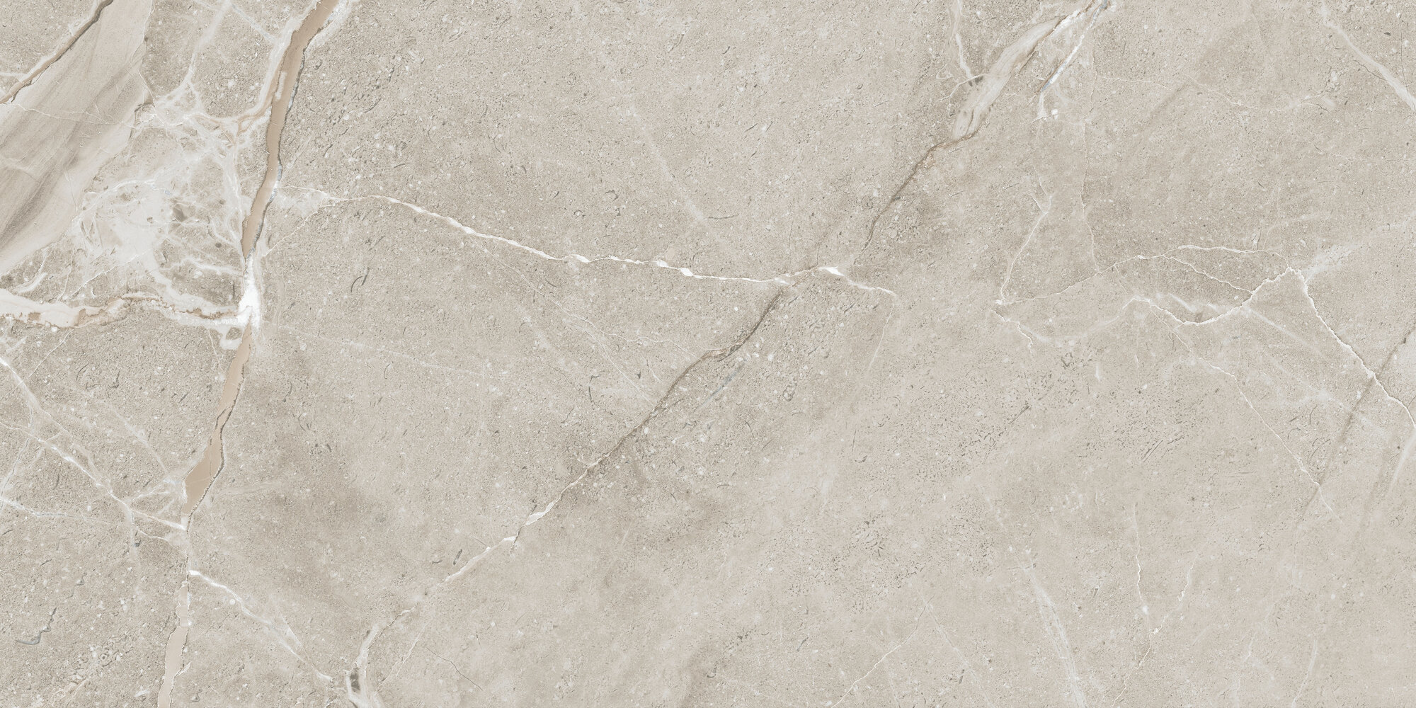 COLEMANITE STONE GREY RECT 60X120