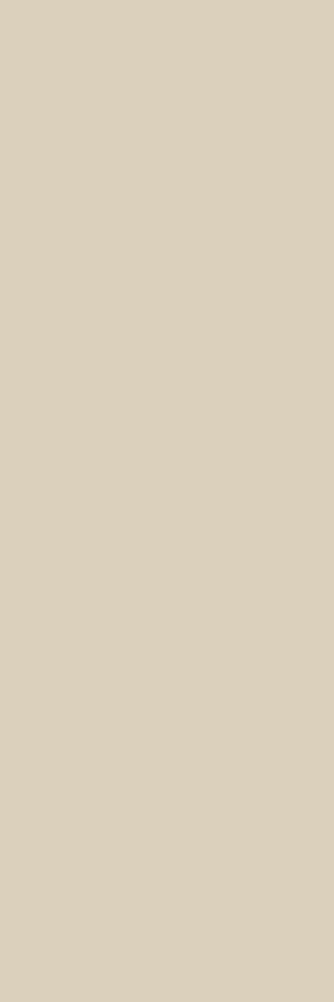 ALL BEIGE MATT RECT 30X90