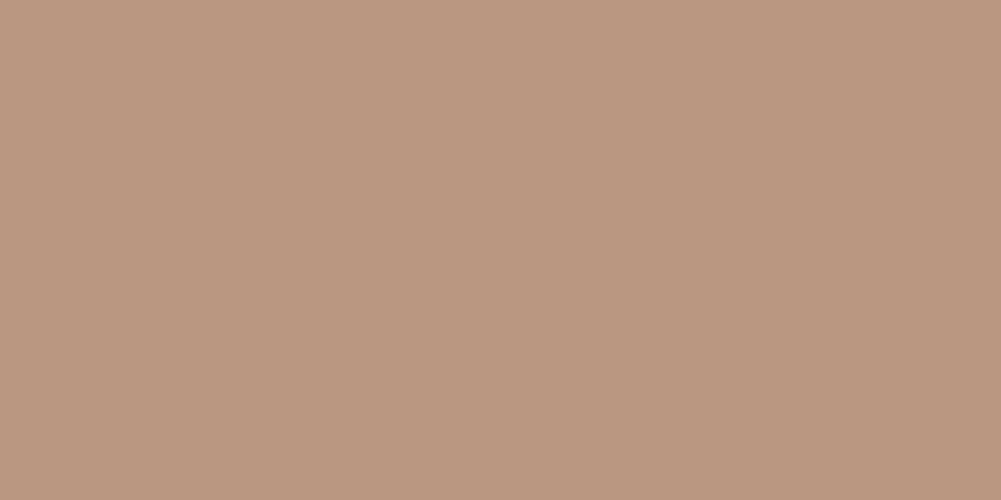 TERRACOTTA MATT RECT 60X120