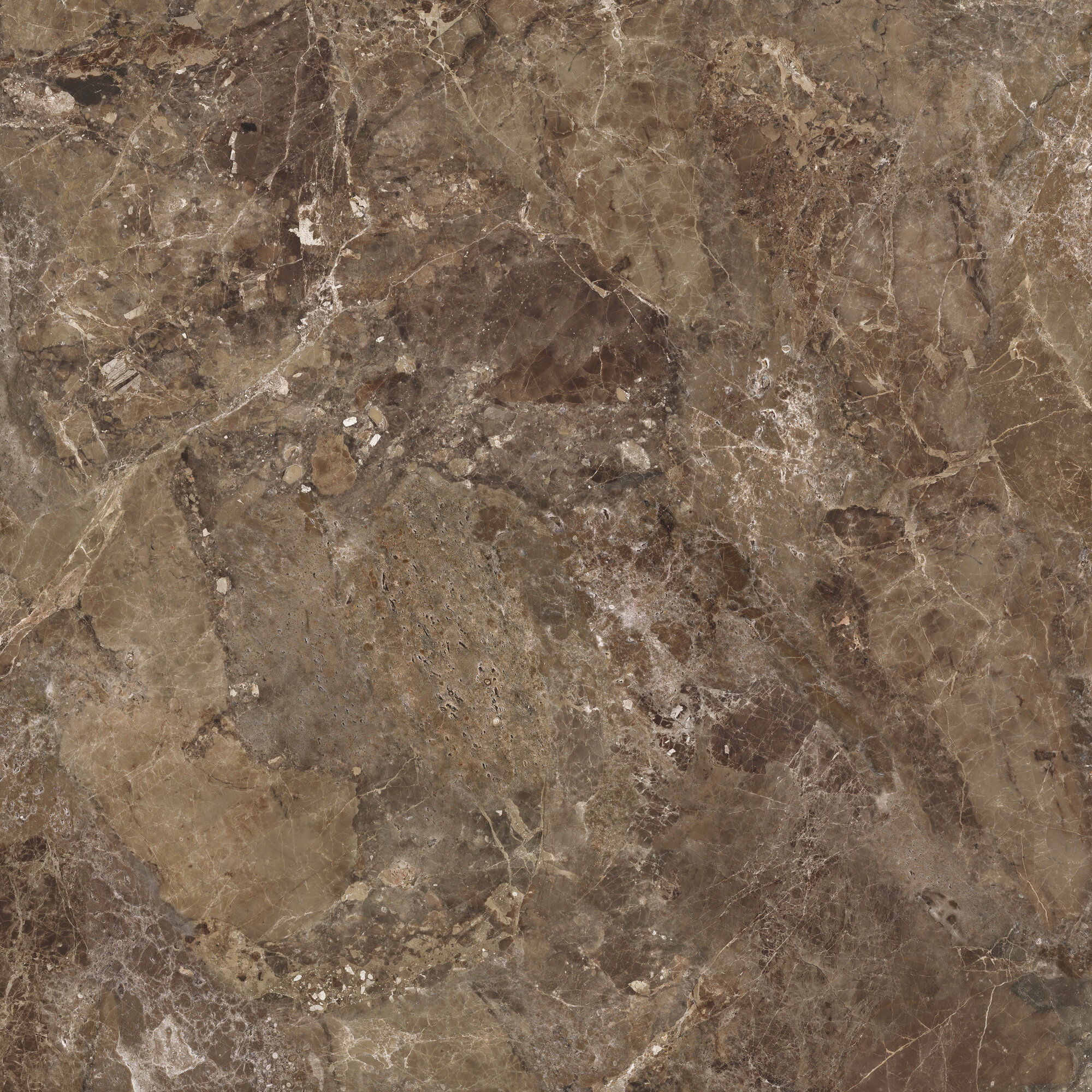 IMPERIAL BROWN POL RECT 120X120
