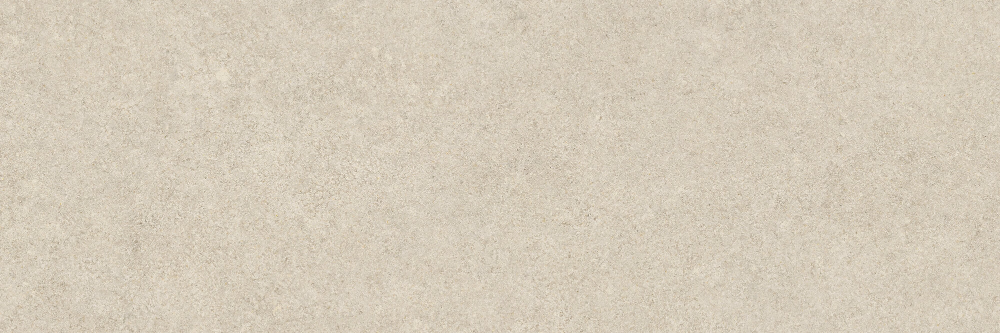 IWA BONE RECT 30X90