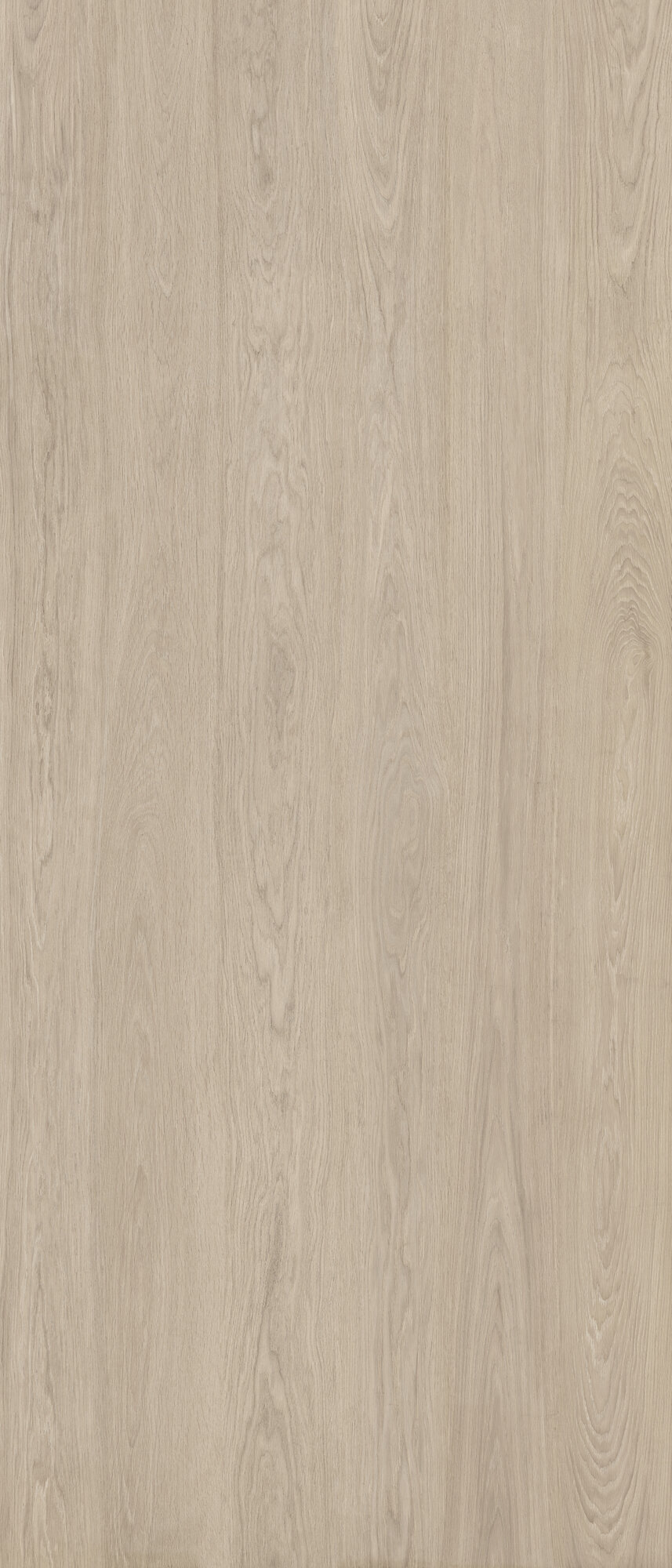 KINWOOD BEECH RECT 120X280