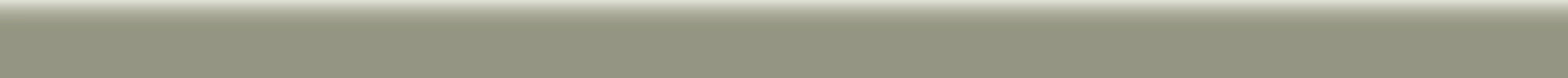 QUARTINO MUSEO OLIVINE 2X40