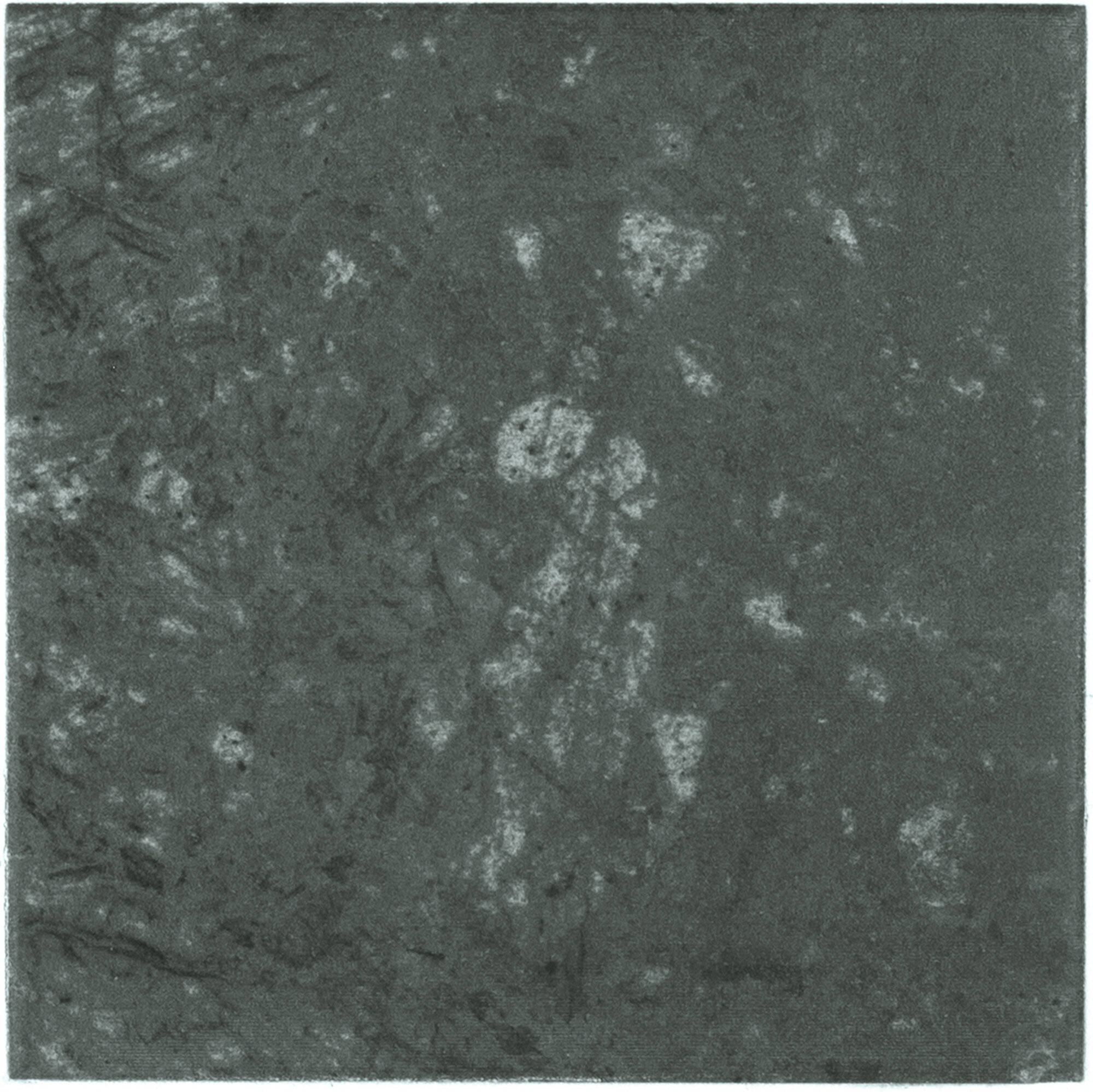 SELVA 15X15