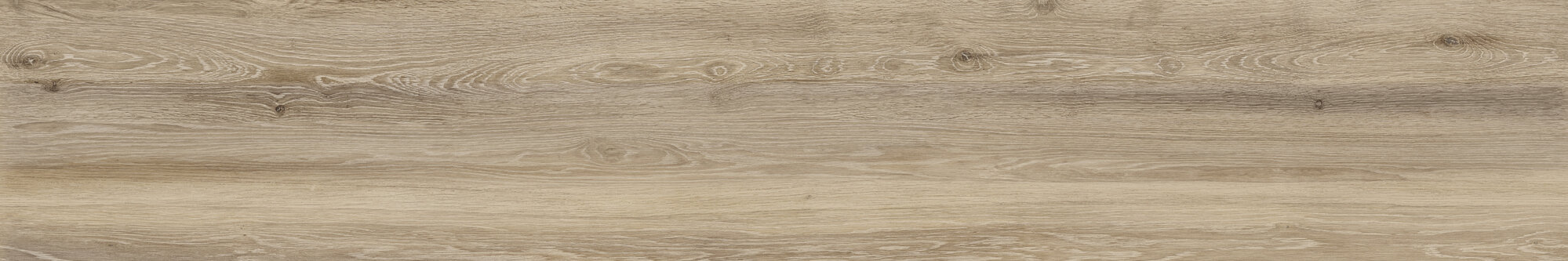 SEQUOIA BIRCH RECT 25X150