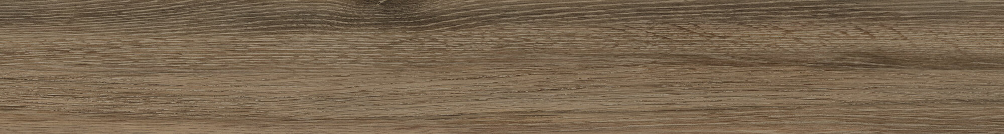 ROD. SEQUOIA CHERRY TREE 8X60
