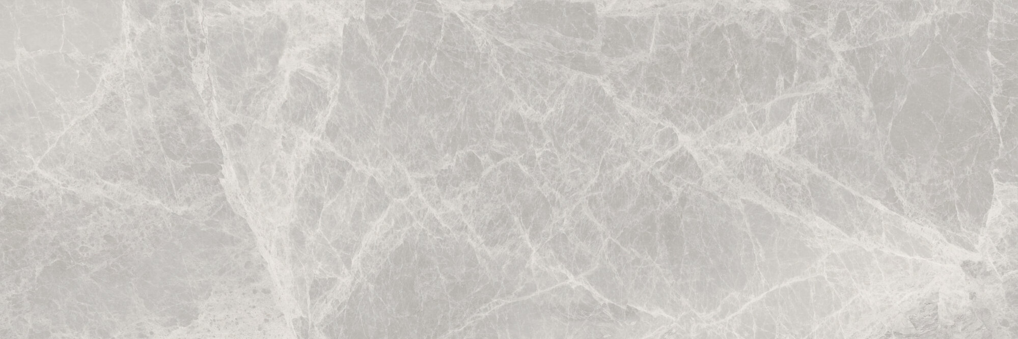 SILVER PEARL MATT 25X75