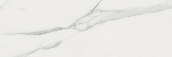 STATUARY MATT 25X75