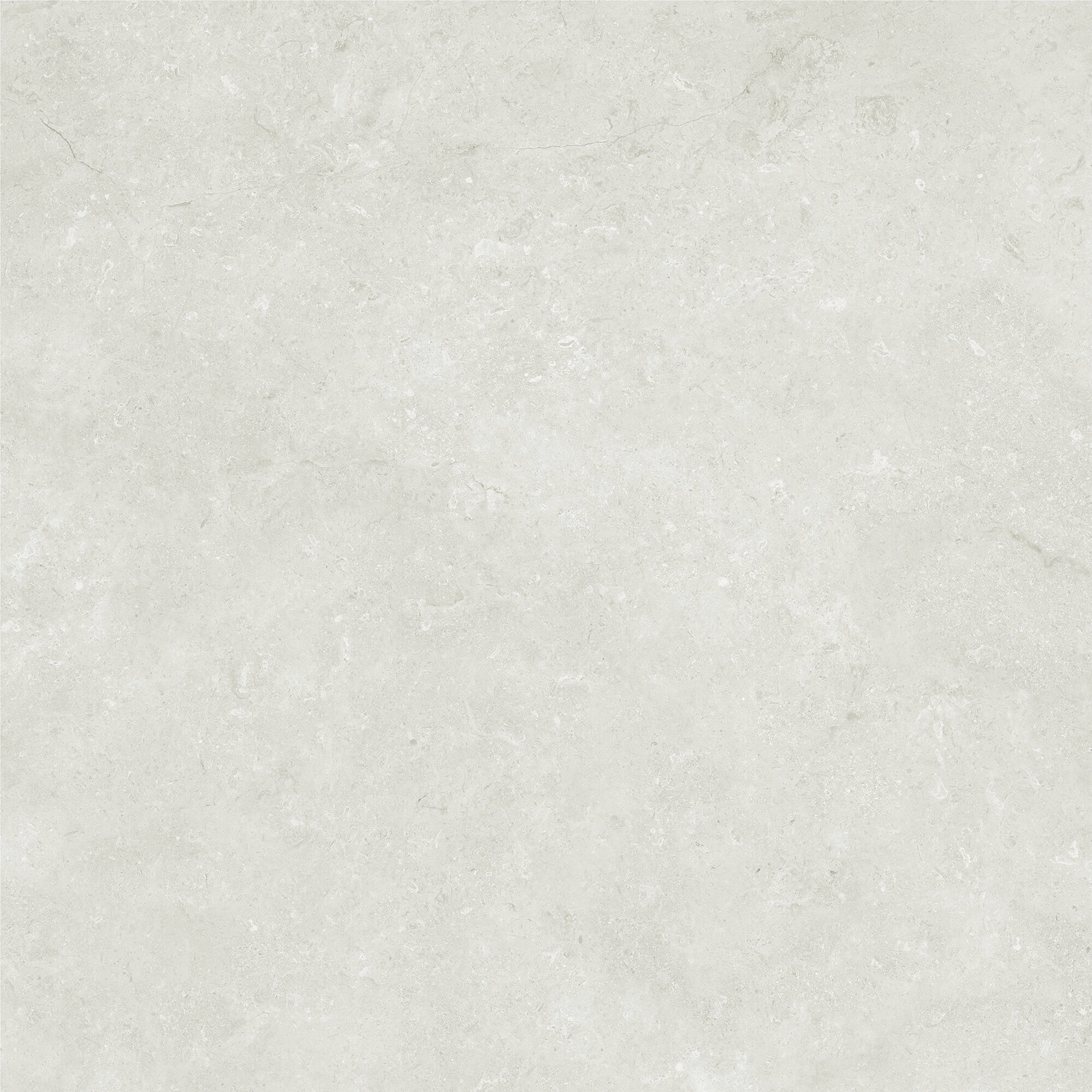 VALERIA PEARL MATT RECT 120X120