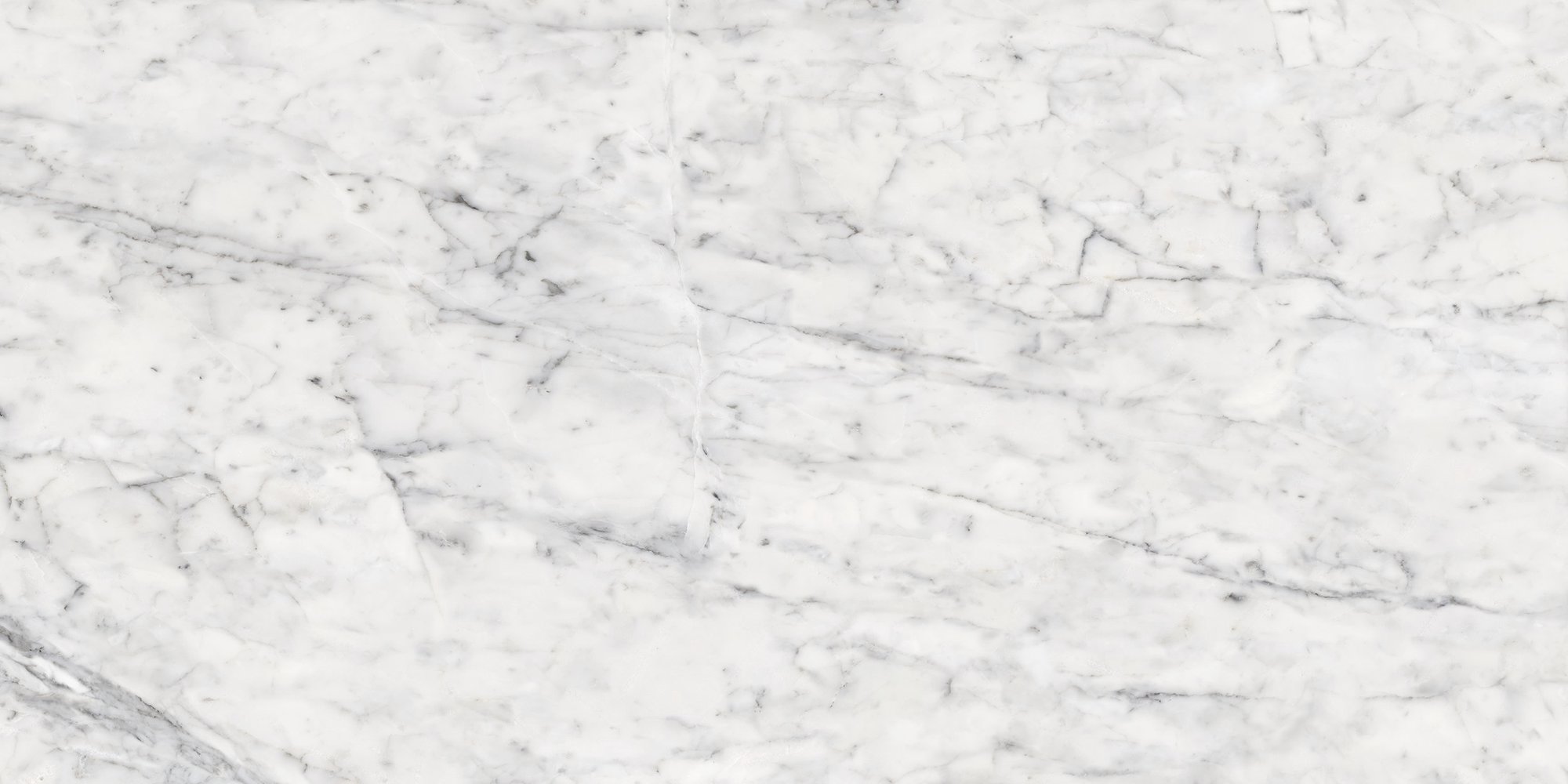 VITA POLISHED RECT 60X120