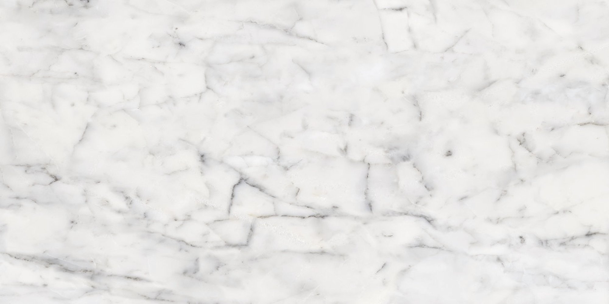 VITA POLISHED RECT 30X60