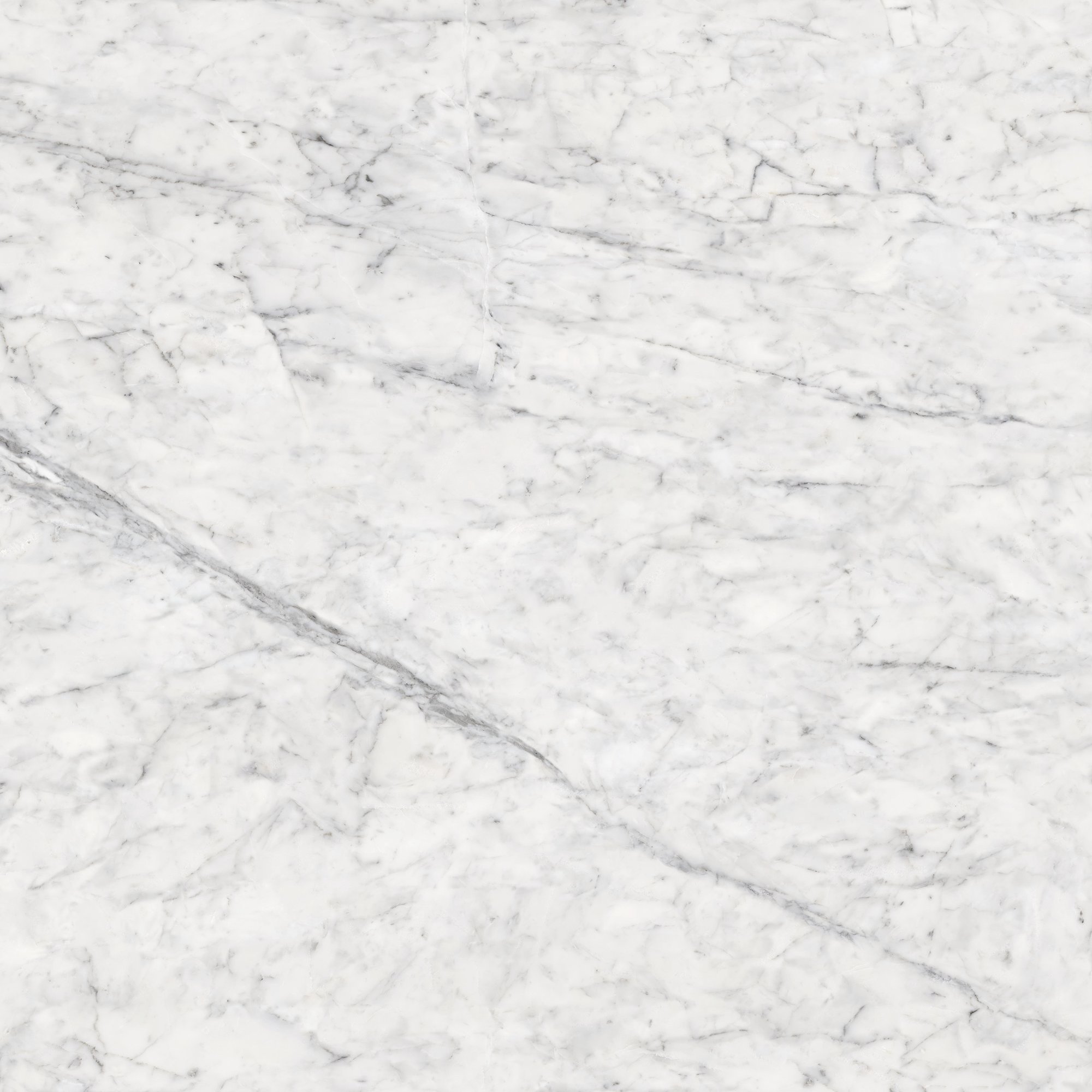 VITA POLISHED RECT 120X120