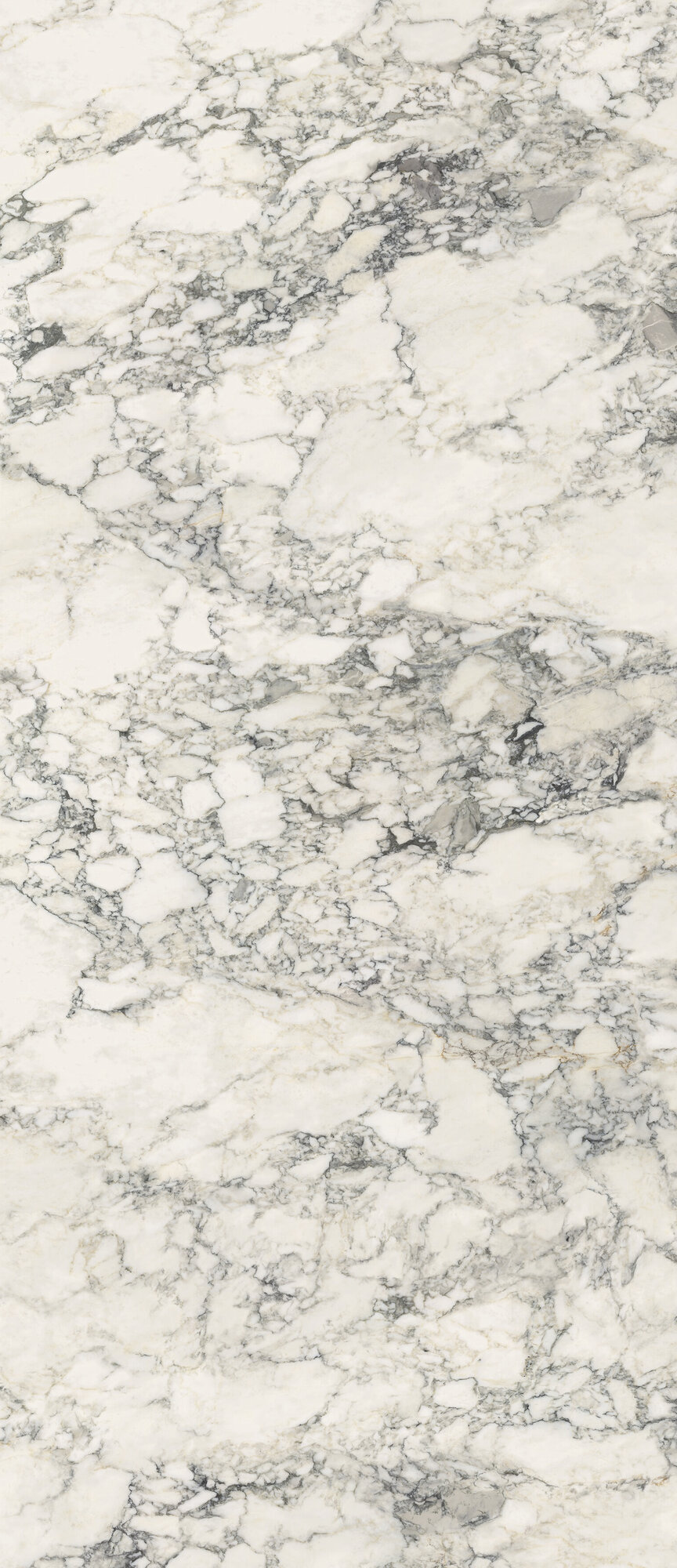 VOLTERRA WHITE POL RECT 120X278