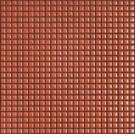 Diva DIVA_Coral_4025.jpg